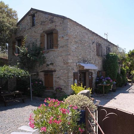 A Casa Di Paulina Bed & Breakfast Casta Exterior foto